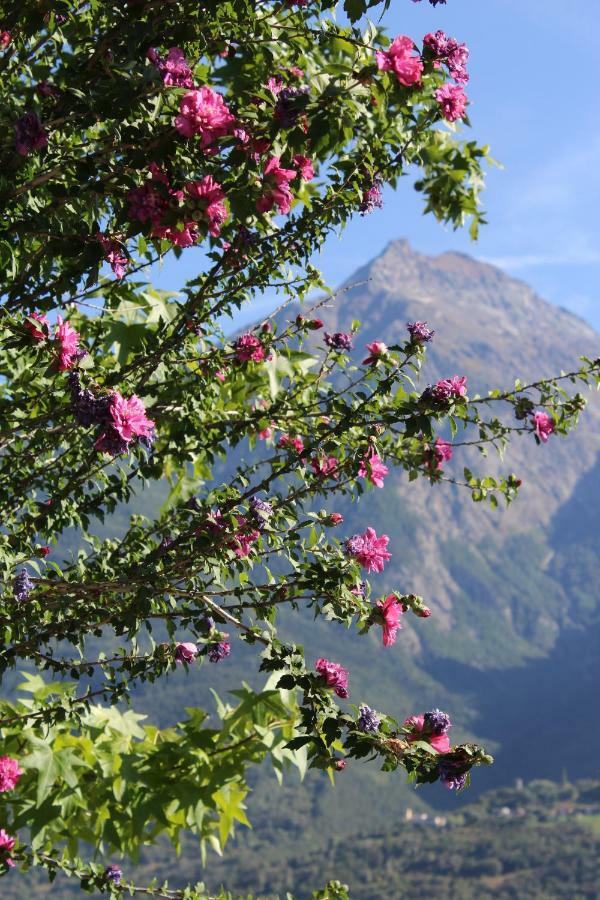 Relax * Aosta